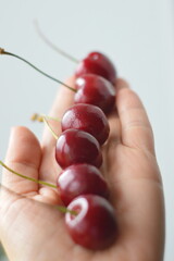 cherries in hand