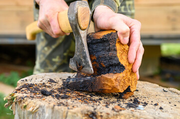 men's hands with an axe clean chaga mushroom birch fungus in the fresh air. step by step - obrazy, fototapety, plakaty