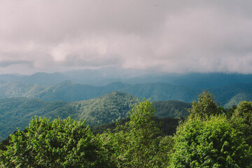 fog in the mountains