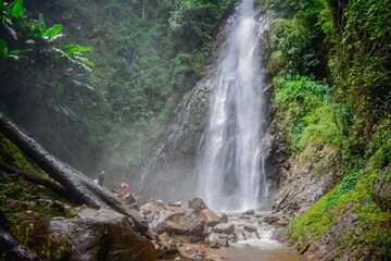 waterfall in the forest