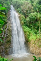 waterfall in the forest