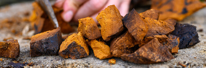 pile pieces of sliced and peeled chaga mushroom birch fungus are stacked against the background of...