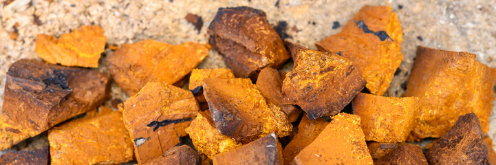 pile pieces of chopped and peeled chaga mushroom birch fungus are stacked on a wooden stump background. step by step. banner