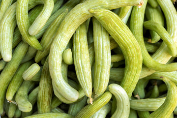 Background of the Armenian cucumbers in the gunny. It is a cucumis melo var. Flexuosus is a type of...