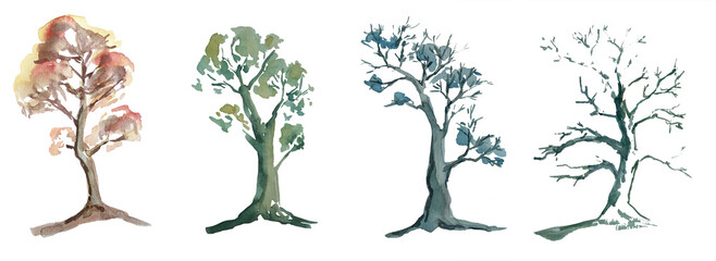 water color painted tree on white background