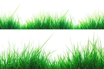 Fototapeta premium Green grass, isolated on a white background