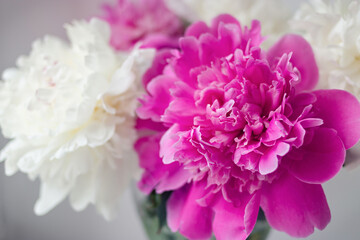 Close up beautiful bouquet of peonies on bokeh background selective and soft focus. Invitation card. Greeting card. Flower card