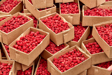 Fresh raspberry boxes sold in the market