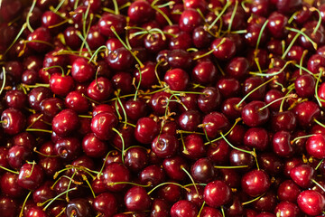 Lots of fresh, clean pure natural cherry berries in summer