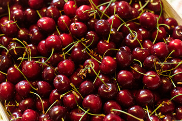 Lots of natural cherry berries in summer