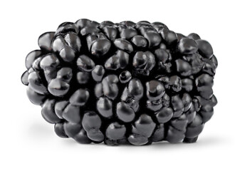 Isolated Blackberrie. Fresh Black berry on white background macro.