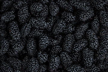 Blackberries. Fresh Blackberry  berries background macro. Wallpaper. Food concept