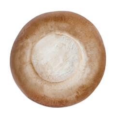 Fresh champignon mushrooms isolated on white background. top view. One Champignon macro object.