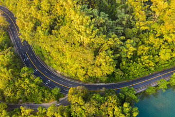 road with forest in Sun Moon Lake
