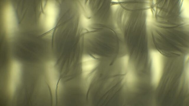 Close up shooting in detail of fabric. Microscopy of textile, checking quality control of fabric.