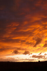 Obraz premium Sunset after the storm in the city 