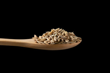 Close up paddy in wooden spoon on black background.