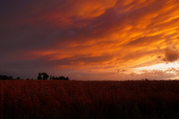 Sunset after the storm in the city 