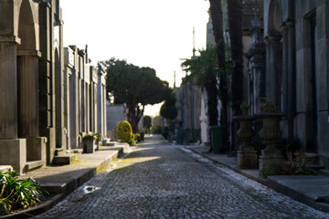 Ciudad de Oporto, país de Portugal