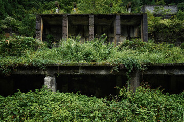 Ruins at the back of the forest