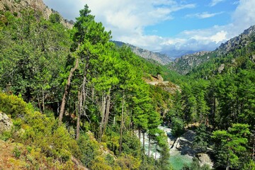 Fototapeta na wymiar Corsica-view of the pass and river Restonica