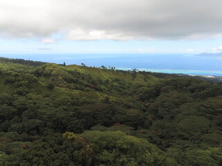 Obraz premium Forêt vue du ciel à Tahiti, Polynésie française 