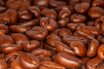 Close-up of roasted coffee beans