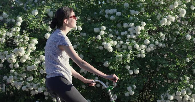 Young women riding bicycle on sunny day. Girl wear sunglasses and drives along the road past large guelder rose white flowers.