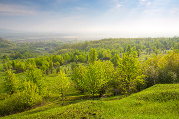 Fototapeta na wymiar green valley at morning