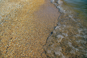 Sea and shells. Seashells on the seashore. Sea shells and oncoming wave.