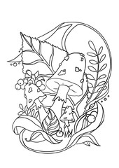 Mushrooms. Graphic illustration. Coloring page 