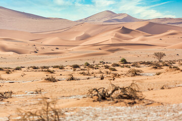 Fototapeta na wymiar Sand Dune Landscape at Sossusvlei in the Namib Desert, Namibia, Africa 