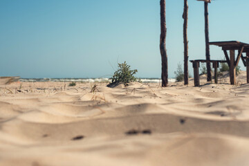 sand dunes on the beach