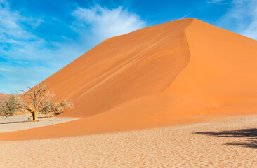 Sand Dune Landscape at Sossusvlei in the Namib Desert, Namibia, Africa
