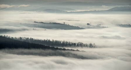 Obraz premium Dense fog swept through the forest. Autumn morning on the mountain. 