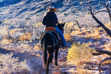 winter sunset horseback ride through the desert in near Las Vegas