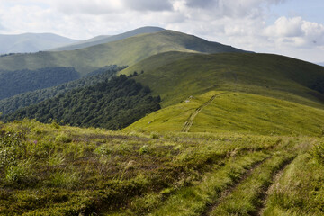 Fototapeta premium Hiking trail on the mountain range (Borzhava ridge) in Carpathian mountains in Ukraine