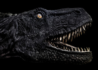 Naklejka premium Trex Dinosaur Head Dark plakat