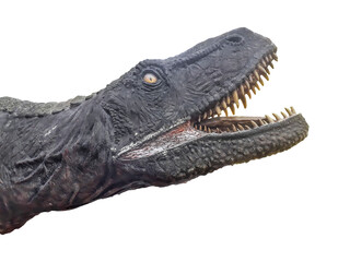 Trex Dinosaur Head Isolated Photo © DFLC