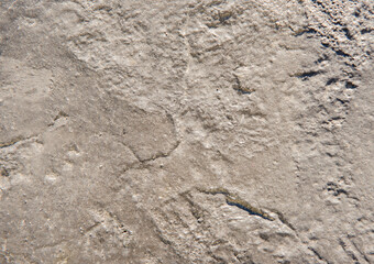 Grey abstract background of concrete surface