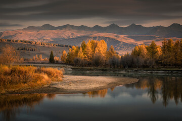 Obraz premium Autumn landscape, bend of the river with yellow larch trees on the Bank against the background of mountains in dawn colors