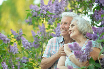 Obraz premium Close up portrait of beautiful senior couple hugging