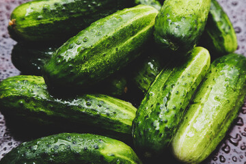 fresh homemade cucumbers from the garden