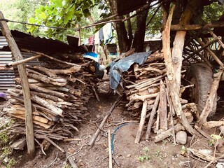 leña de para cocinar