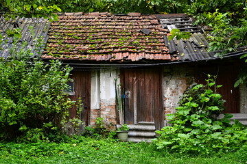 Old vintage rustic shabby small shed with wooden small door, shingles roof, green leaves around....