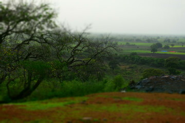 Obraz premium NIce Clik And Osam Nature . 