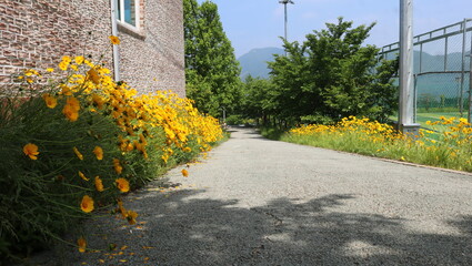 road in the park