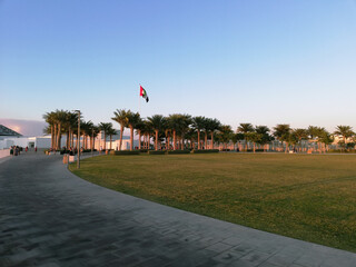 Sky palms lawn