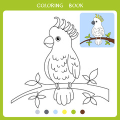 Simple educational game for kids. Illustration of cockatoo sitting on branch for coloring book
