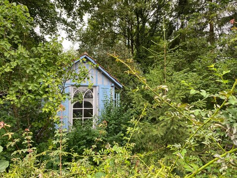 BLAUES H&Auml;USCHEN IM WALD